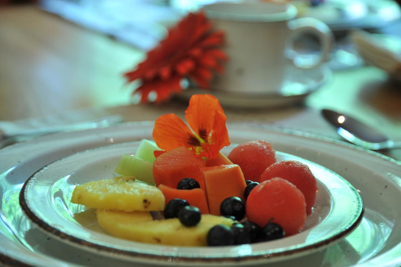 Claires Of Sandton Luxury Guest House Johannesburg Eksteriør bilde