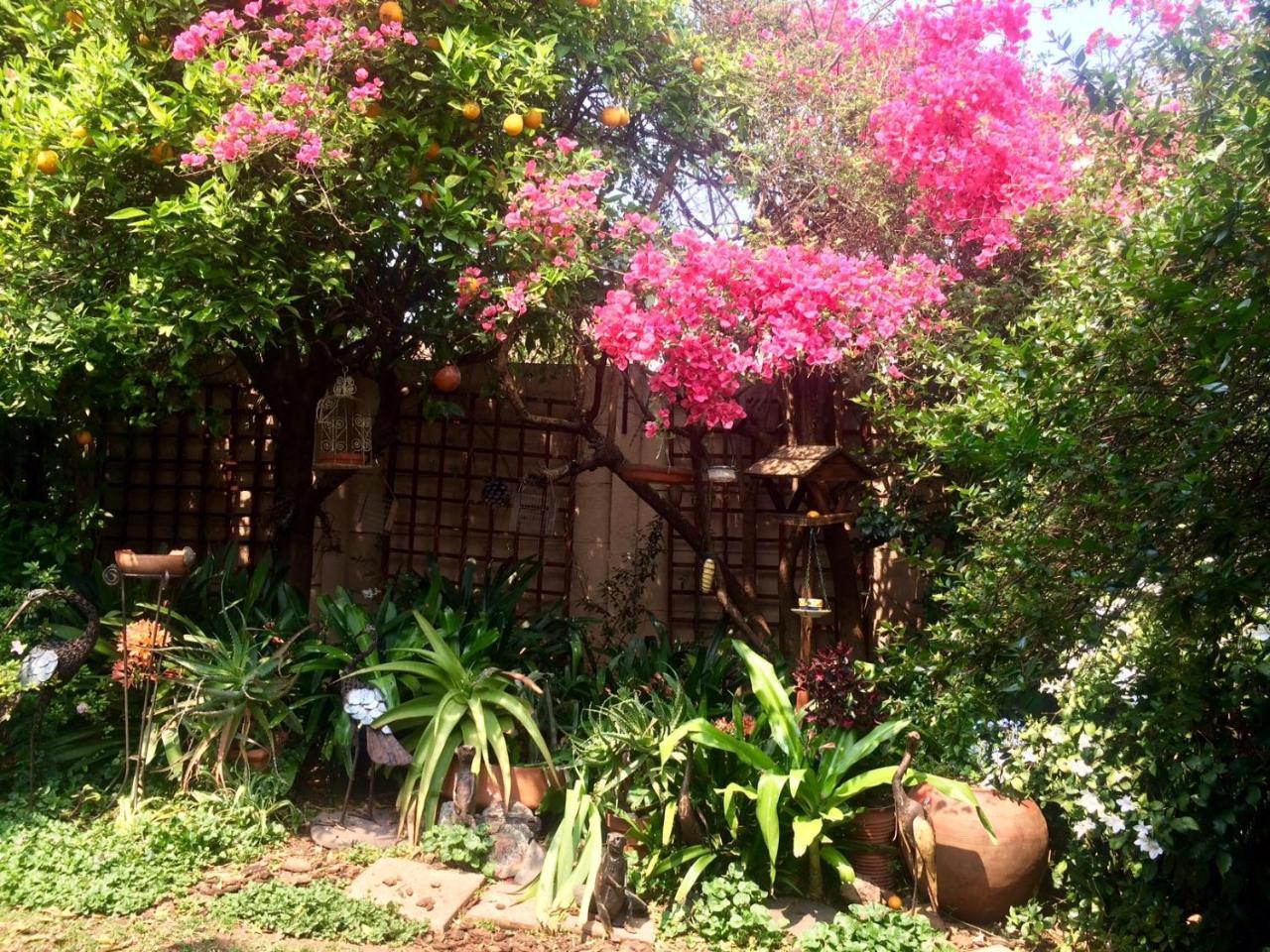 Claires Of Sandton Luxury Guest House Johannesburg Eksteriør bilde